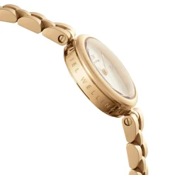 Daniel Wellington – Elan Lumine Unitone Gullfarget, hvit skive