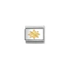 Nomination – COMPOSABLE CLASSIC SYMBOLS STEEL AND 18K GOLD (61_WIND ROSE)