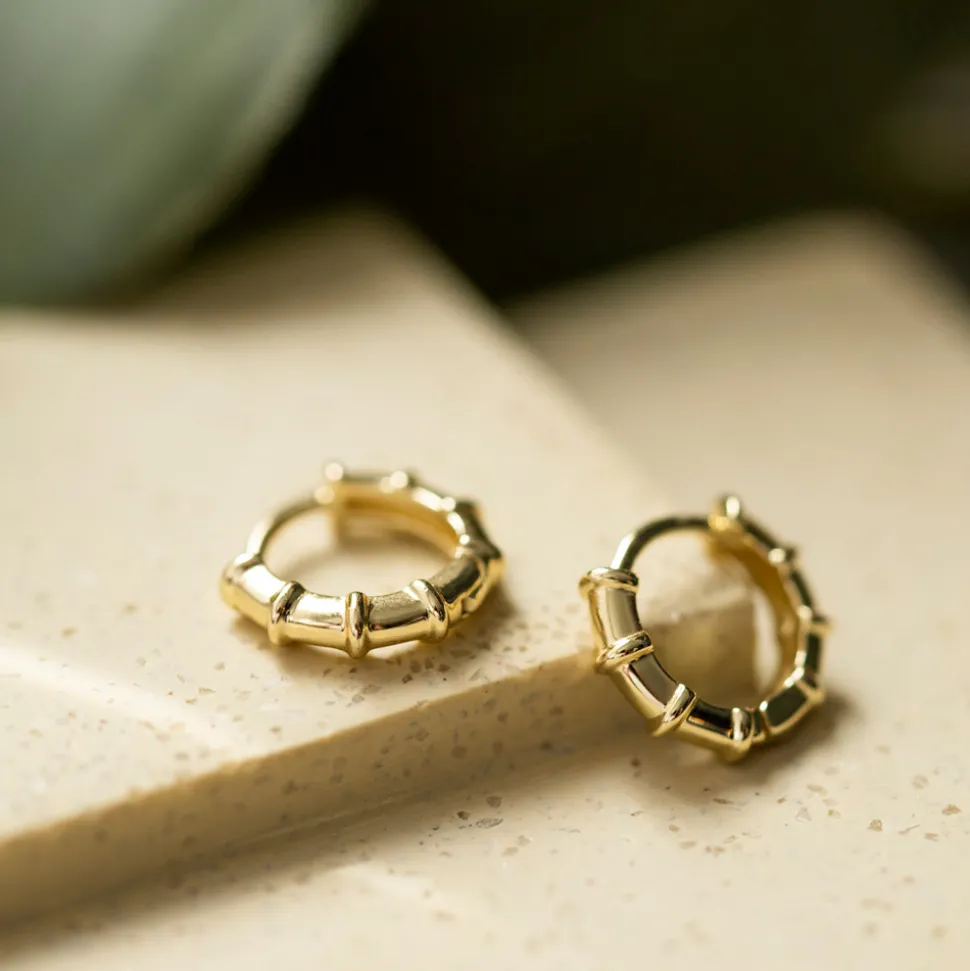 PAN Jewelry – Øreringer i forgylt sølv – 11 mm – NB: Kommer inn i slutten av oktober!