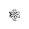 Pandora – Funklende Herbarium Klynge Charm